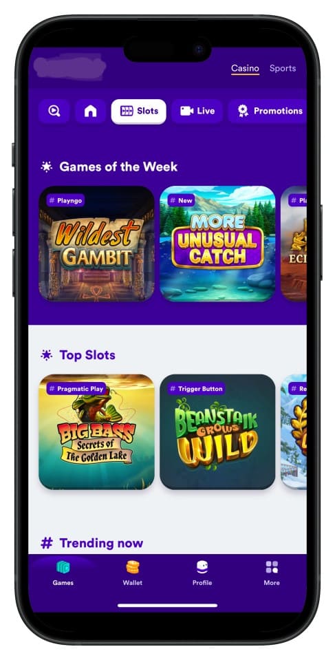 Screenshot showing eg333 App interface with intuitive menus and game choices